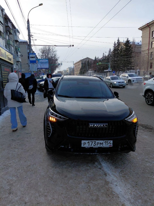 Водителя, видимо, не смущали пещеходы | Источник: читатель НГС
