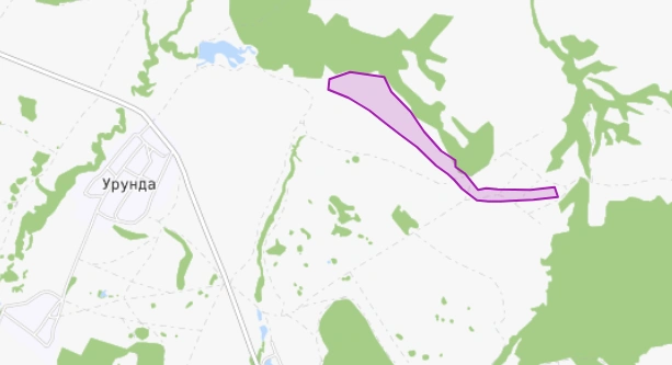 Выделенным — та самая земля, которую жители отдали | Источник: nspd.gov.ru