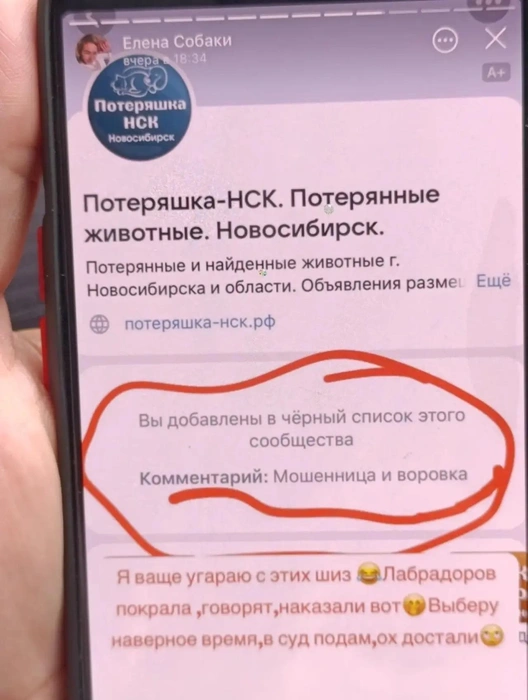 Елена выложила историю о том, что ее забанили в группе поиска животных | Источник: предоставила Алёна
