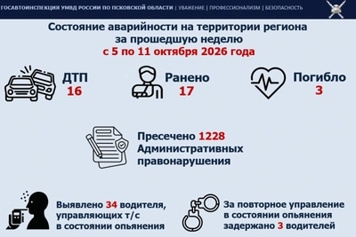 Госавтоинспекция Псковской области: 16 ДТП за неделю