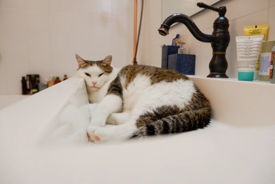 В Рязани анонсировали массовое отключение холодной воды