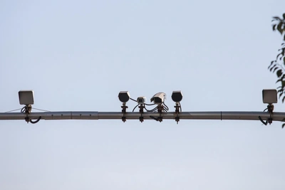 Rostov Invests 40 Billion Rubles in Traffic Cameras