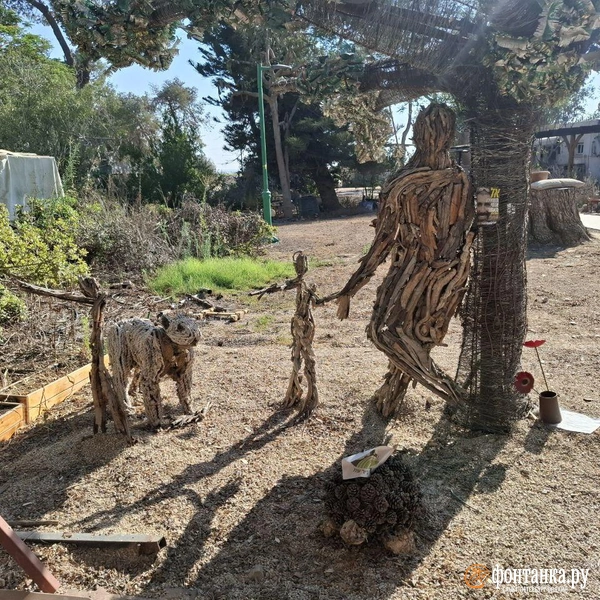 Источник: Ирина Багликова / «Фонтанка.ру»