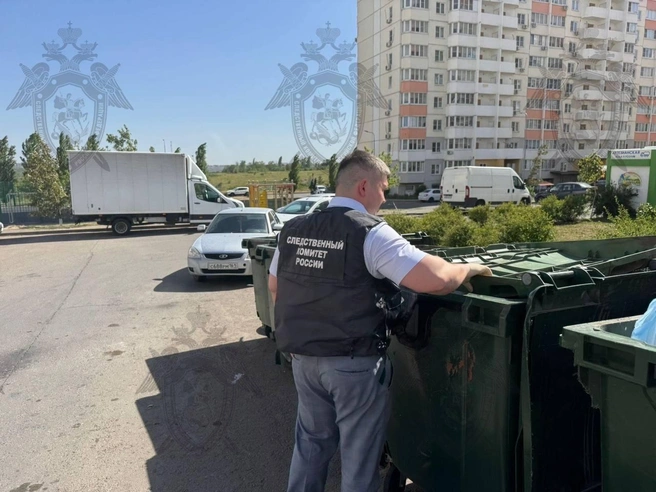 Источник: пресс-служба СУ СК по Ростовской области