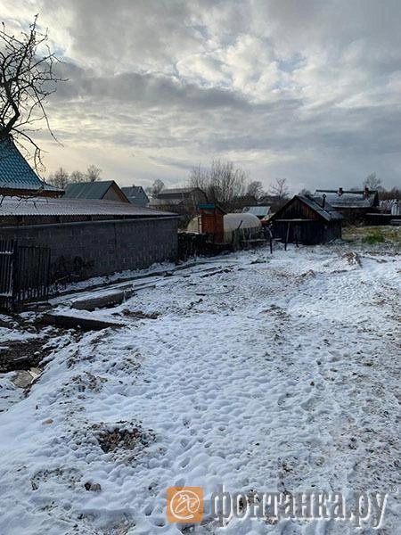 участок Наталии Огурцовой после сноса ее дома | Источник: читатель "Фонтанки"