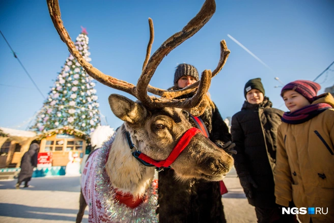 Путешествие по Северу даже летом&nbsp;— то еще приключение! | Источник: Александр Ощепков / NGS.RU
