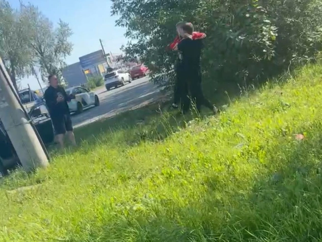 Девушку на руках унесли до машины и усадили внутрь, несмотря на сопротивление | Источник: читатель 74.RU