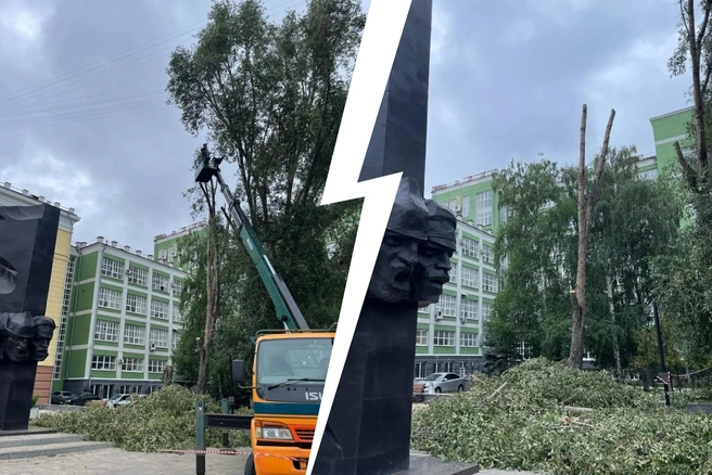 В центре Самары снова кронировали деревья. Одно срубили — что ответила мэрия возмущенным горожанам | Источник: Подслушано Самара / МАХ
