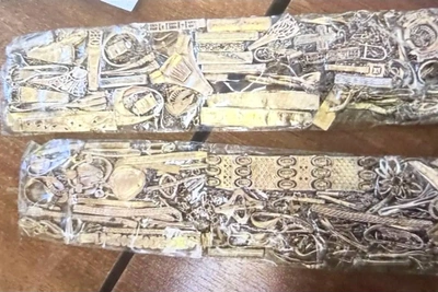 Иностранец с золотом в кроссовках арестован в Благовещенске