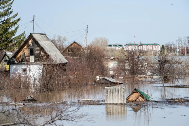 Вода подошла к крышам | Источник: правительство Тюменской области