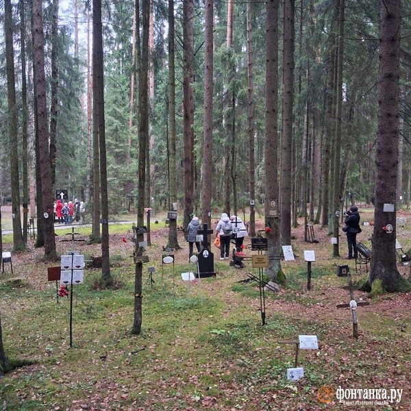 Источник: Анна Мотовилова / FONTANKA.RU