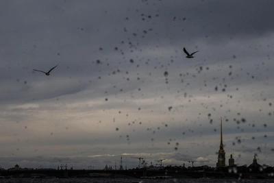 Сын мурманчанки пропал в Ленобласти, вероятно из-за мошенников