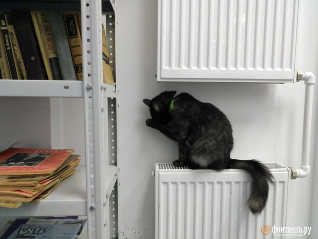 Уфимцам начали приходить счета за отопление | Источник: Михаил Огнев / FONTANKA.RU