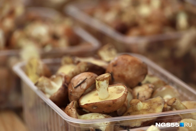 Отравление грибами может быть смертельным | Источник: Евгений Софийчук / NGS55.RU