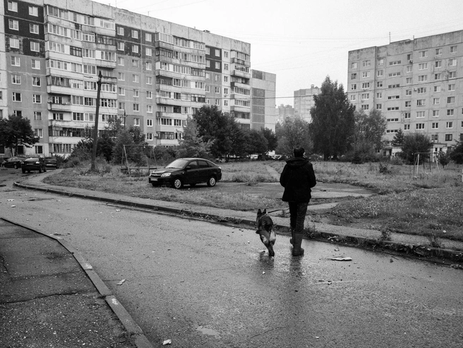 Мелкий дождь окутывает двор дымкой, создавая особую атмосферу | Источник: Александр Куренной / 76.RU