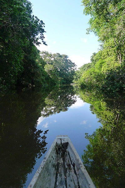 Источник: Архивы пресс-служб