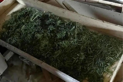 В Рязанской области за сутки изъяли 2 кг наркотиков