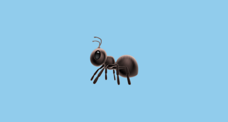 Энтомолог рейтингует эмодзи муравья от разных производителей (галерея)