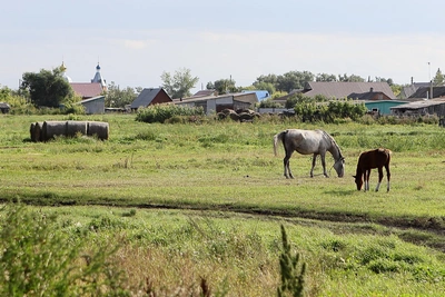 Вода в омских селах: почему тарифы выше городских