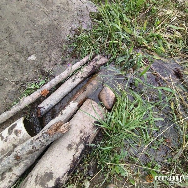 Источник: Ольга Ясененко