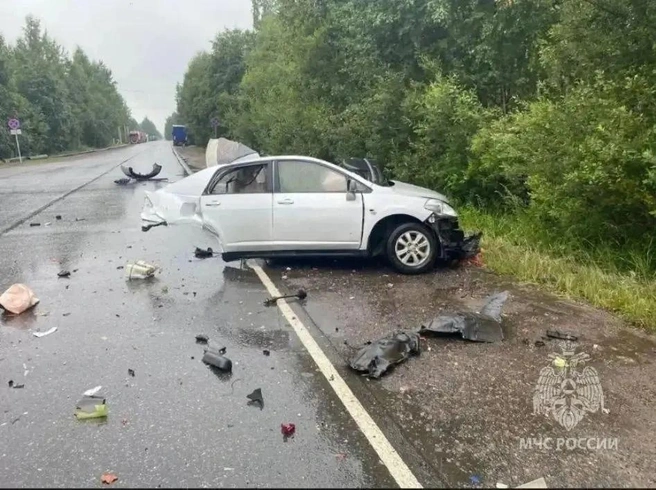 Последствия аварии с участием Nissan и Tesla на дороге Всеволожск — Кирпичный Завод | Источник: МЧС России
