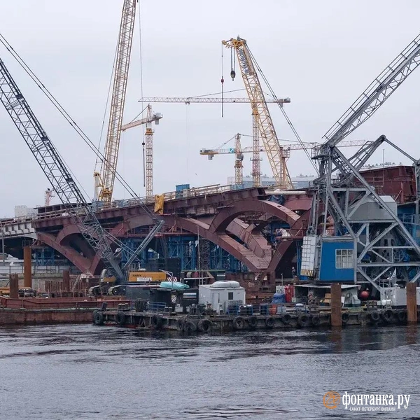 Источник: Сергей Николаев / «Фонтанка.ру»