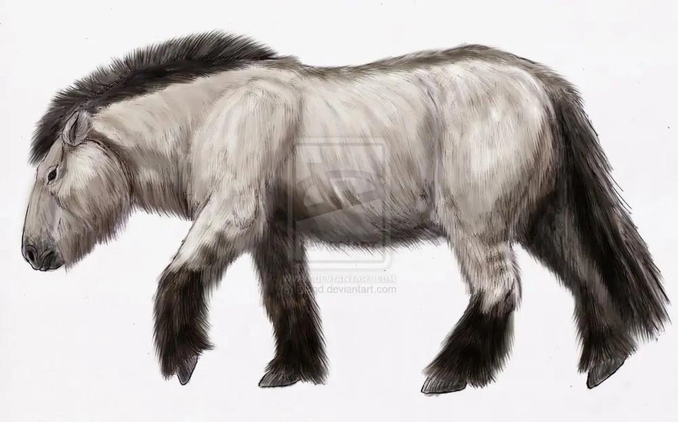 Реконструкция ленской лошади  | Источник: Вымершие животные / Extinct-animals.fandom.com