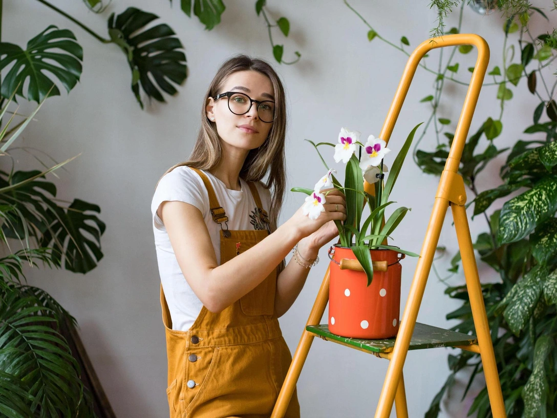 Приносят удачу и богатство: какие растения нужно держать в доме знакам китайского гороскопа | marieclaire.ru