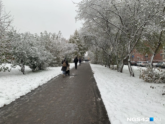 Жаль, что вскоре белый снег превратится в слякоть и грязь | Источник: Татьяна Ирискина / NGS42.RU