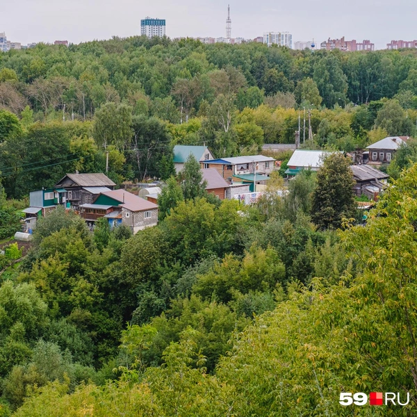 На общем кадре видно количество стареньких домов | Источник: Тимофей Калмаков/ 59.RU 
