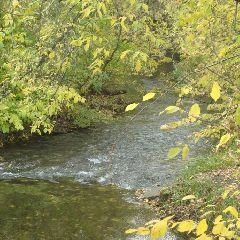 В пятницу ожидается потепление до +15 градусов | Источник: www.city-n.ru