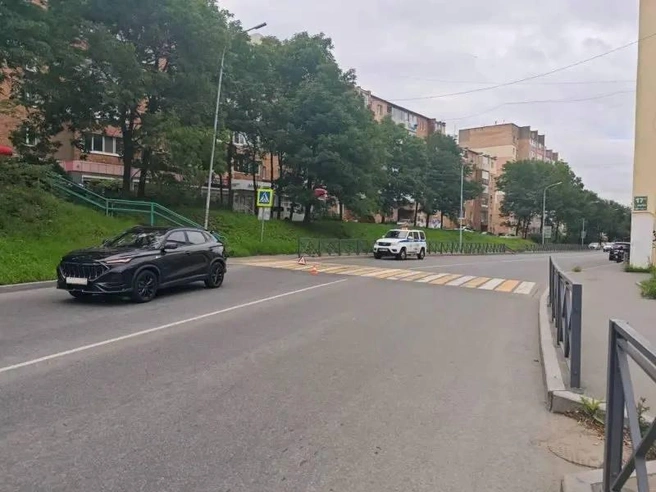 Источник: novosti_vdk / t.me