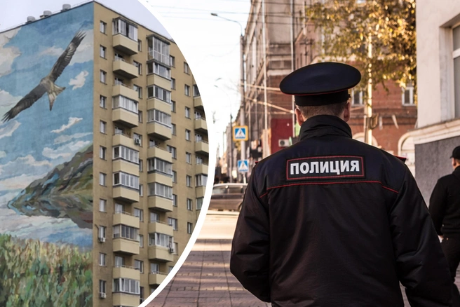 Полиция начала проверку | Источник: Кирилл Кудряшов/2ГИС, Ольга Бурлакова / NGS.RU