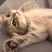 Аватарка Kristinka