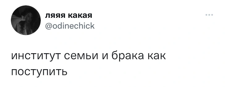 Шутки понедельника и котёнок Эмбер