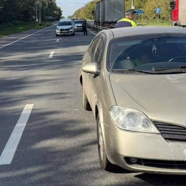 Источник: Госавтоинспекция Рязанской области