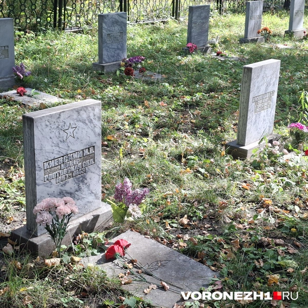 Источник: Алёна Воропаева / Voronezh1.ru