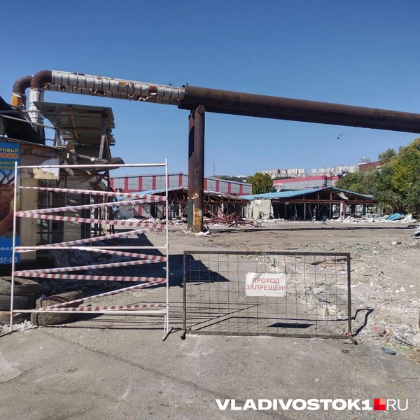 Источник: Екатерина Дымова / VLADIVOSTOK1.RU