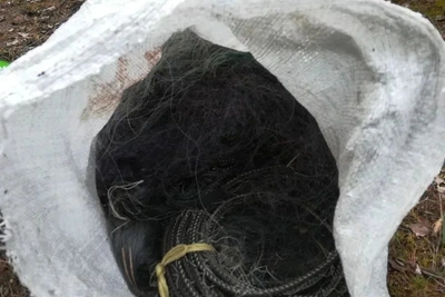 У лесников в заказнике изъяли оружие и краснокнижную рыбу