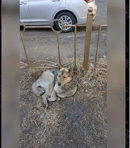 Источник: «Могоча[NEWS]» / Telegram