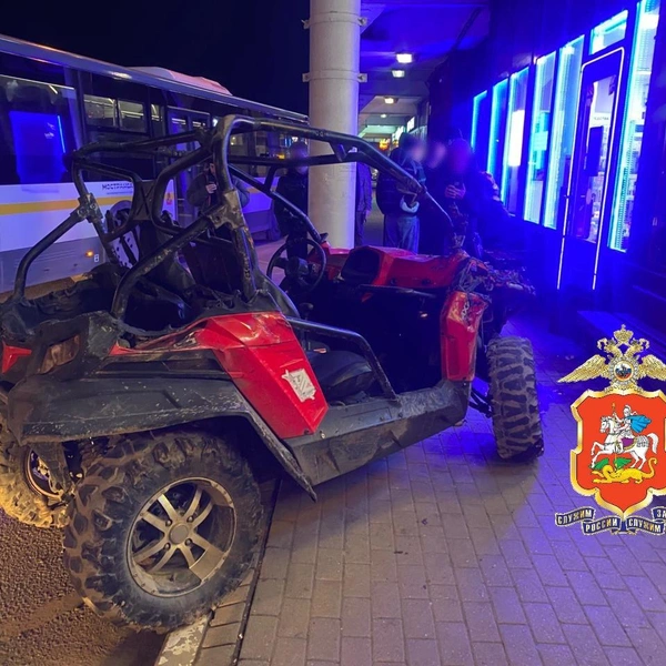 Источник: ГУ МВД России по Московской области