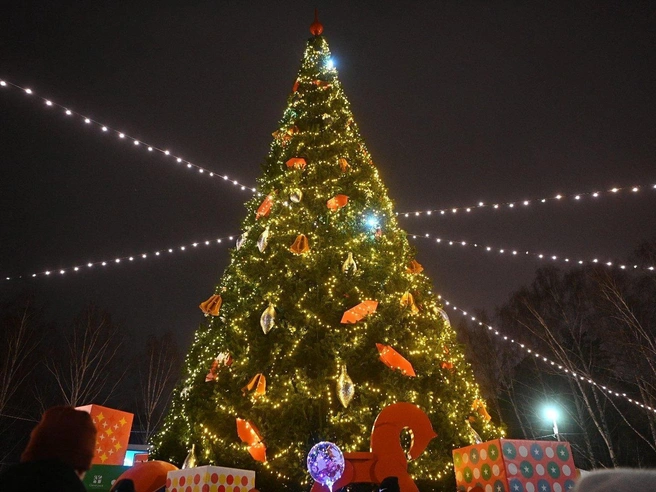 Источник: Максим Воробьев / E1.RU