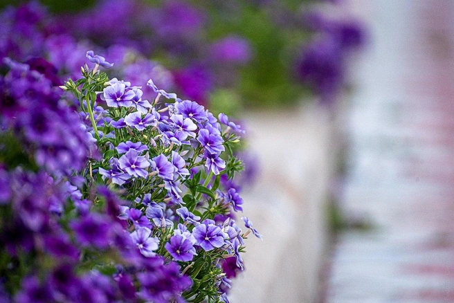 Источник: Oleg Fedorov