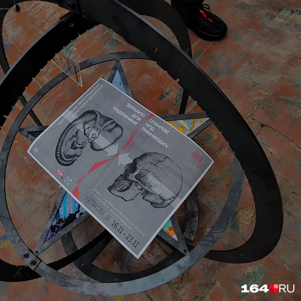 Источник: Сергей Гендин / 164.RU