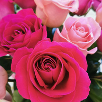 Аватарка Mins