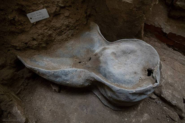 Под полом Нотр-Дама нашли свинцовый саркофаг в форме человеческого тела