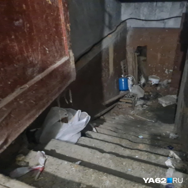 Спуск в подвал напоминает вход в преисподнюю | Источник: Светлана Коновалова / YA62.RU