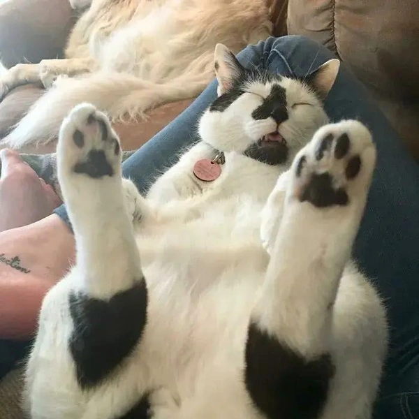 Источник: соцсети