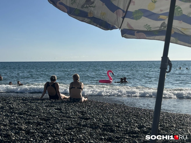 К морю хочется всем и всегда, особенно летом | Источник: Анна Грицевич / SOCHI1.RU