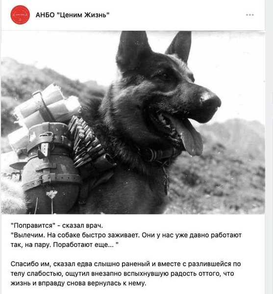 Источник: ВКонтакте